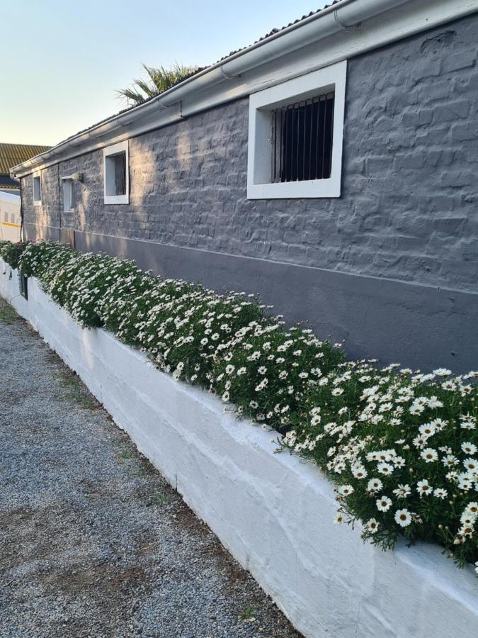 Prosper Stud Guest House روبرتسون المظهر الخارجي الصورة