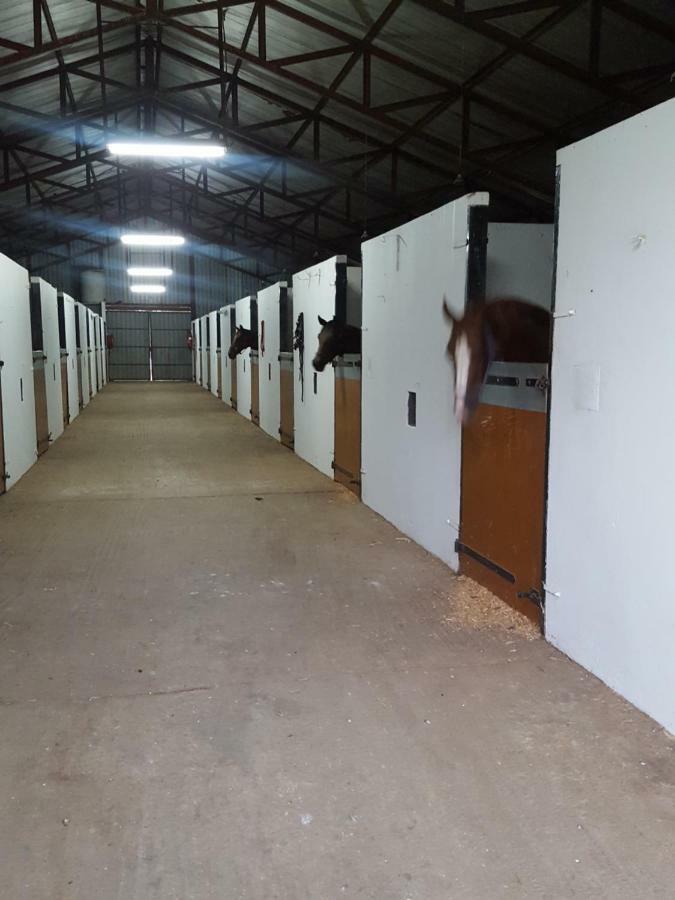 Prosper Stud Guest House روبرتسون المظهر الخارجي الصورة